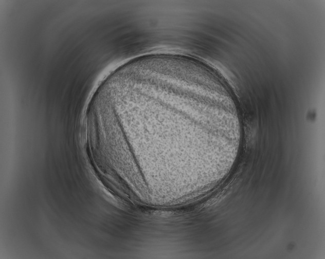 X0000096991371200803071043