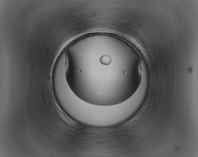 X0000096991372200803071043