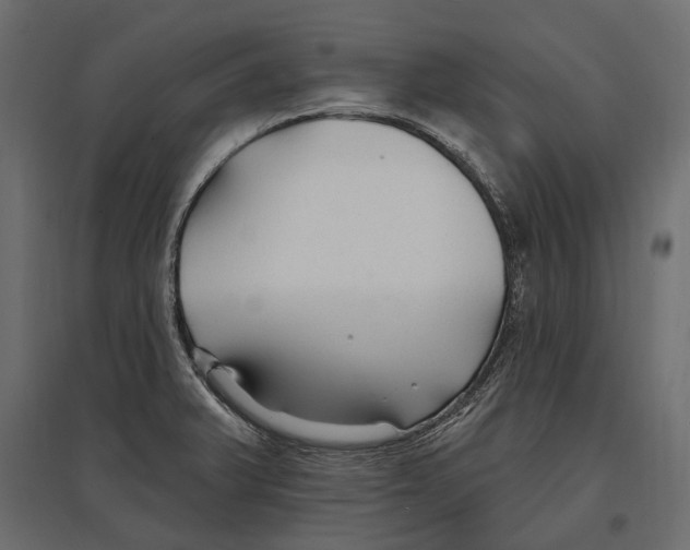 X0000096991375200803071043