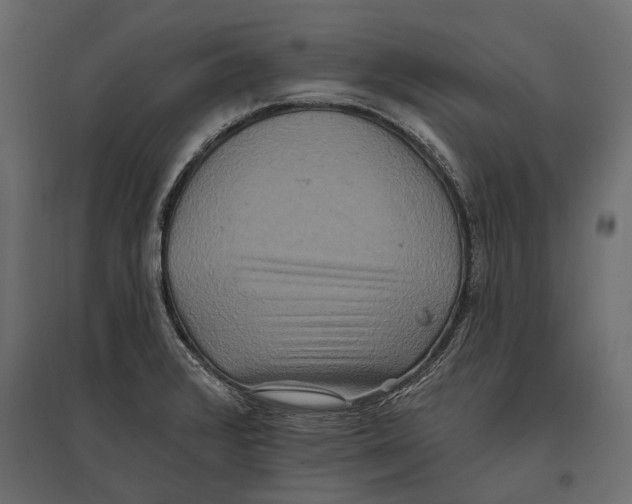 X0000096991376200803071043