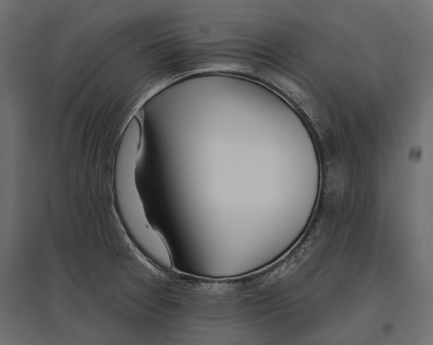 X0000096991377200803071043