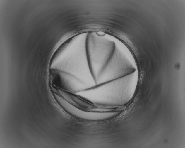 X0000096991378200803071043