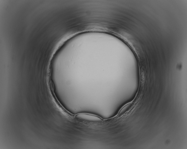 X0000096991379200803071043