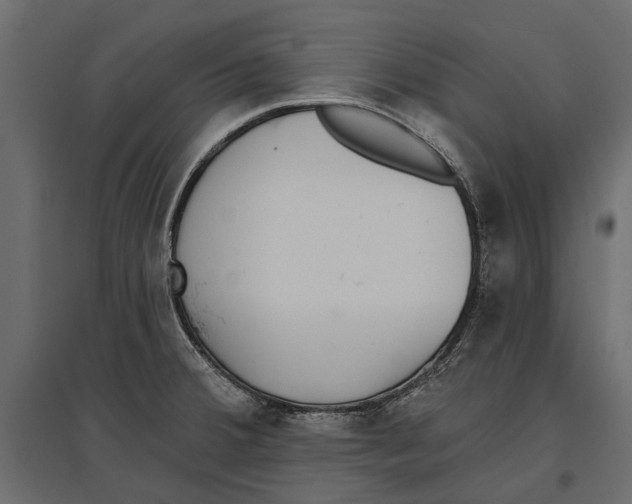 X0000096991380200803071043