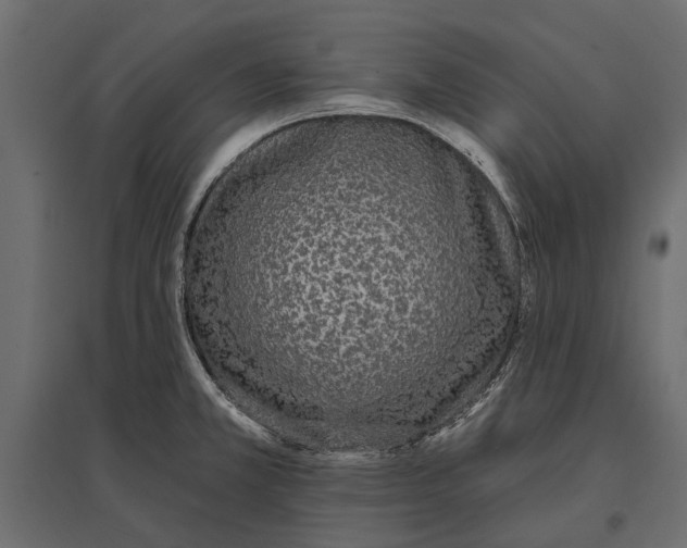 X0000096991381200803071043