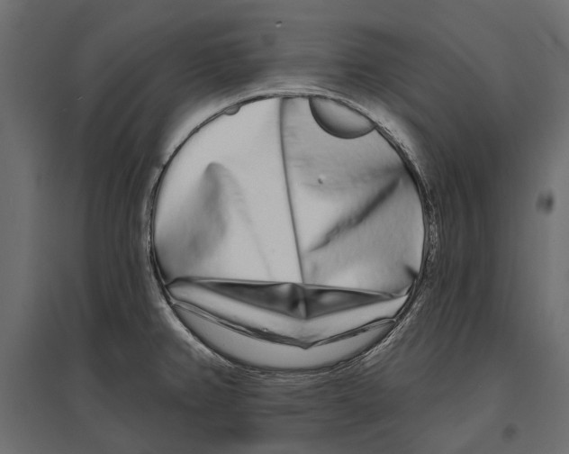 X0000096991382200803071043