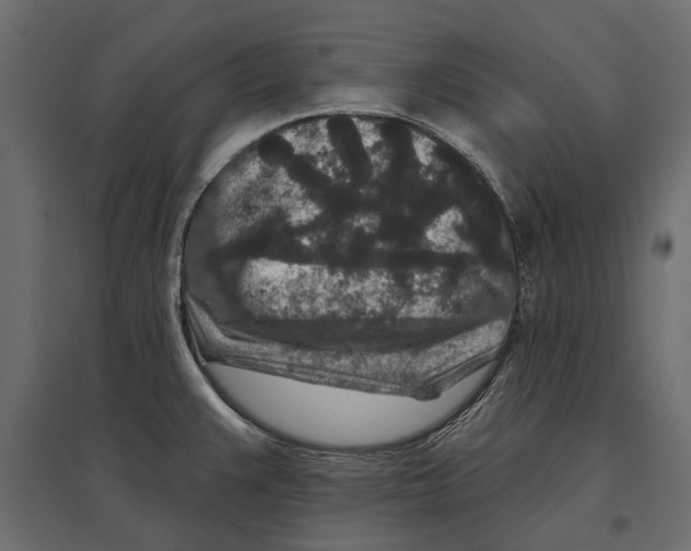 X0000096991383200803071043