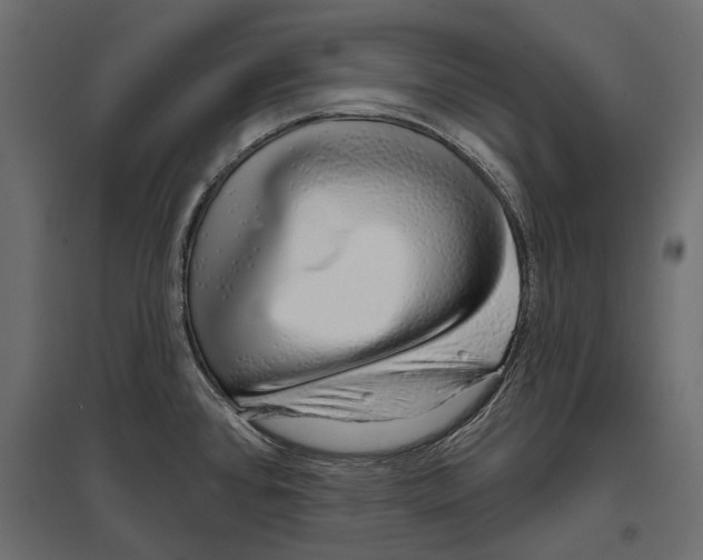 X0000096991384200803071043