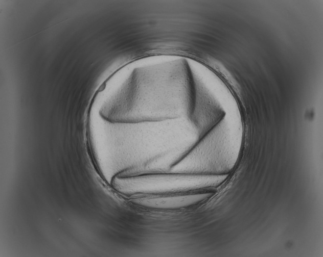 X0000096991386200803071043