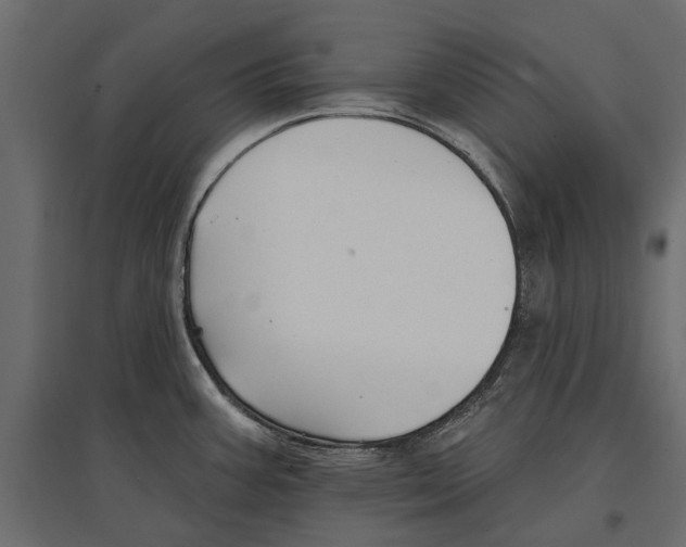 X0000096991387200803071043