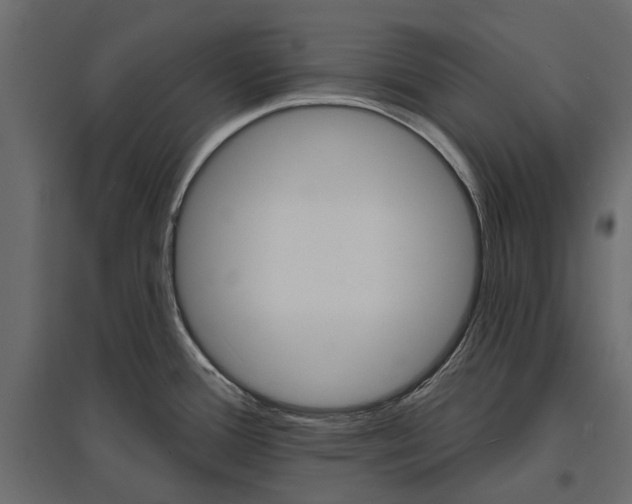 X0000096991388200803071043