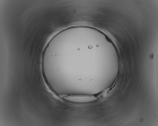 X0000096991390200803071043