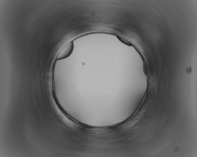 X0000096991391200803071043