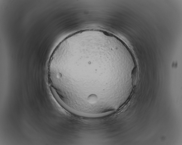 X0000096991392200803071043