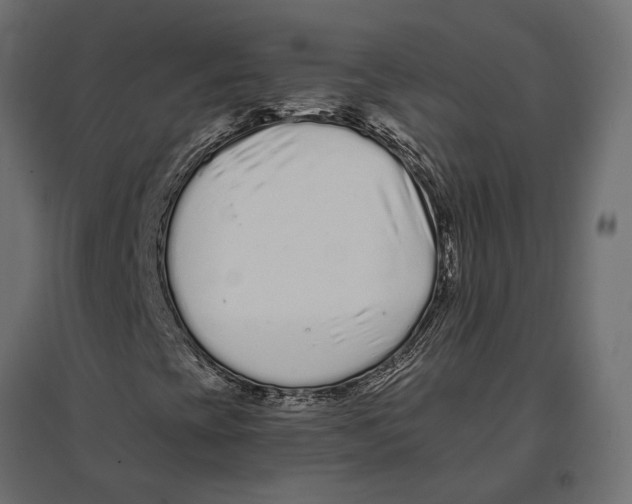 X0000096991393200803071042