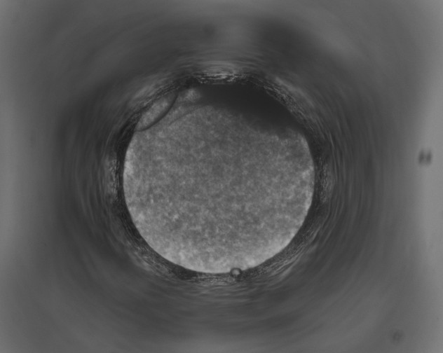 X0000096991394200803071042