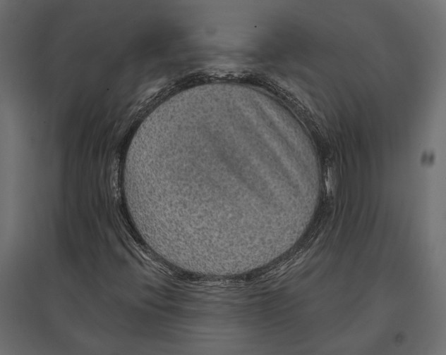 X0000096991396200803071042