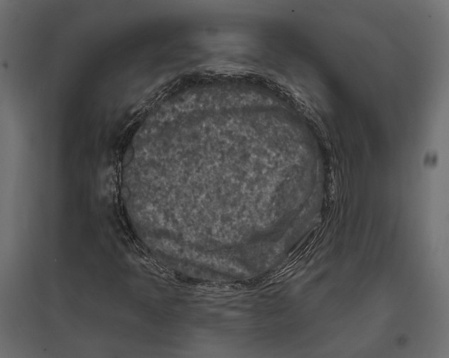 X0000096991397200803071042