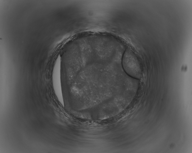 X0000096991398200803071042