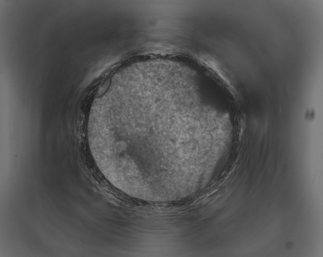 X0000096991399200803071042