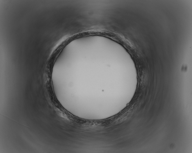 X0000096991400200803071042