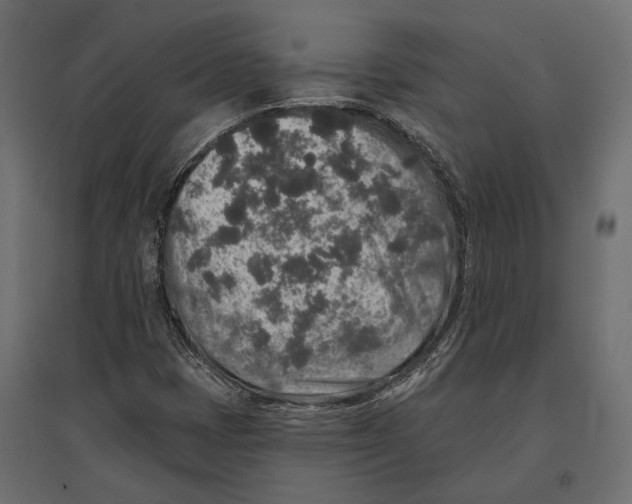 X0000096991401200803071042