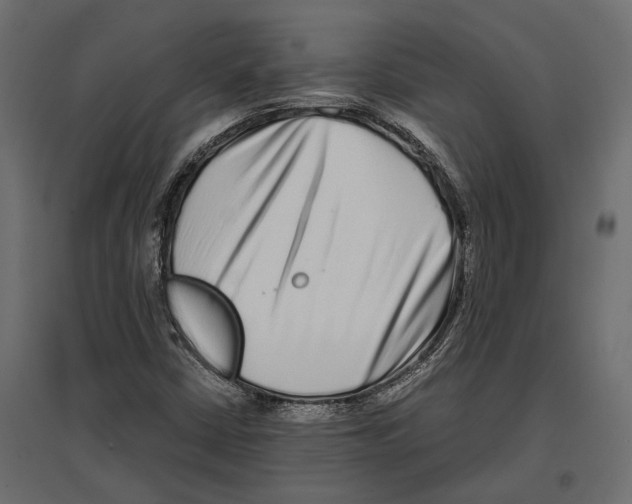 X0000096991402200803071042