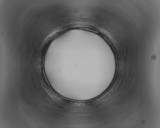 X0000096991403200803071042