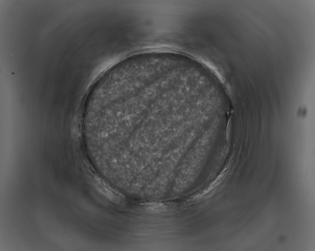 X0000096991405200803071042