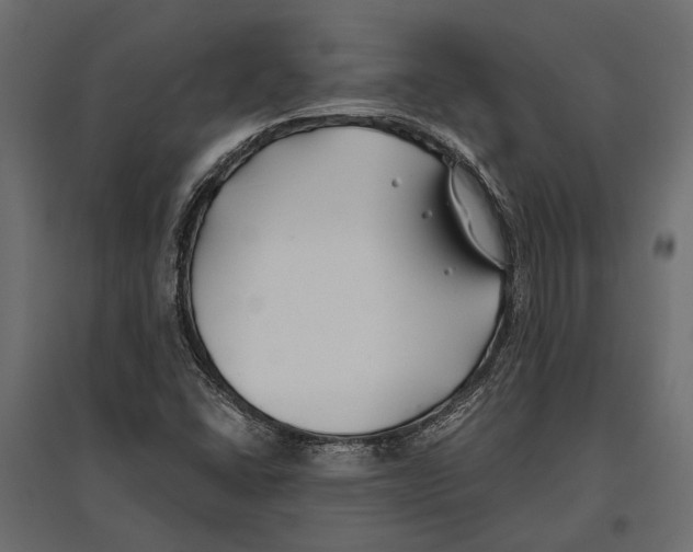 X0000096991406200803071042