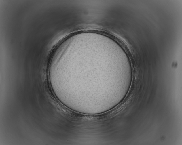 X0000096991407200803071042