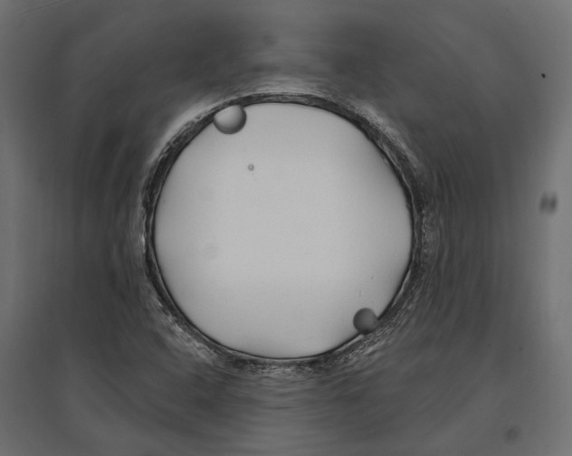 X0000096991408200803071042