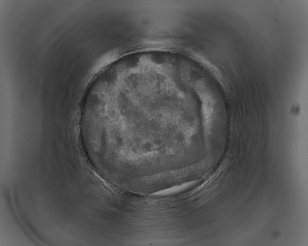 X0000096991411200803071042