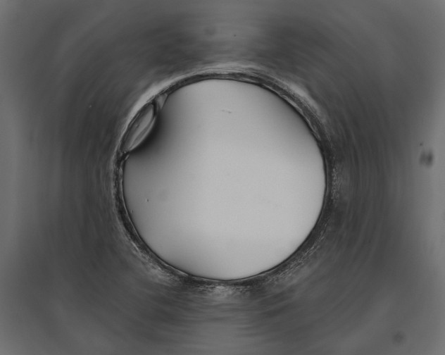 X0000096991412200803071042