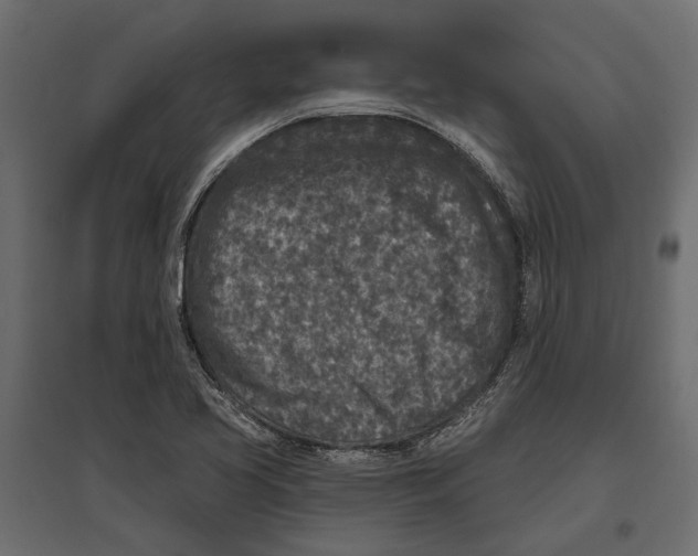 X0000096991413200803071042