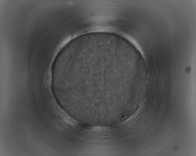 X0000096991419200803071042