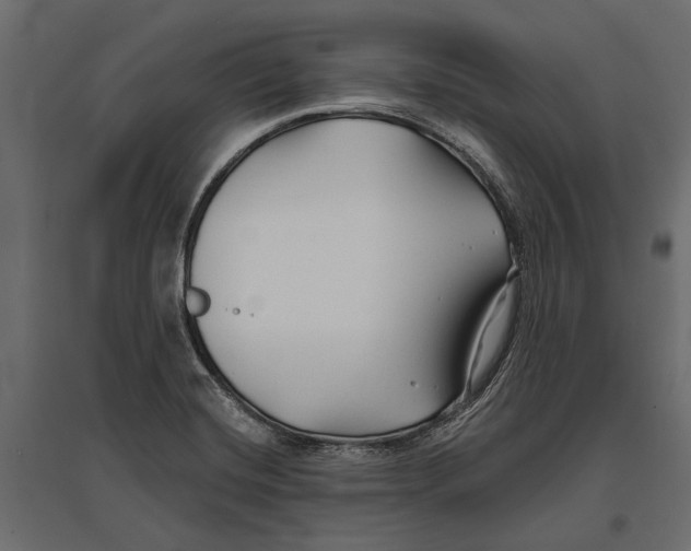 X0000096991420200803071042