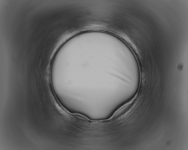 X0000096991421200803071042