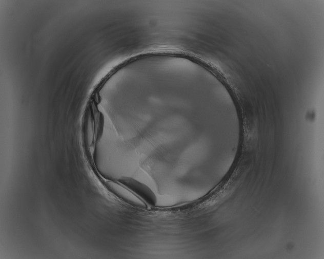 X0000096991422200803071042