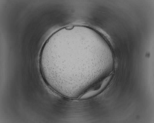 X0000096991423200803071042