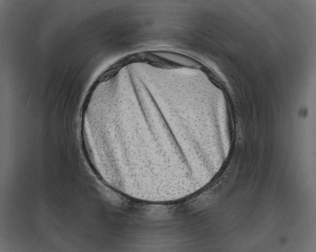 X0000096991424200803071042