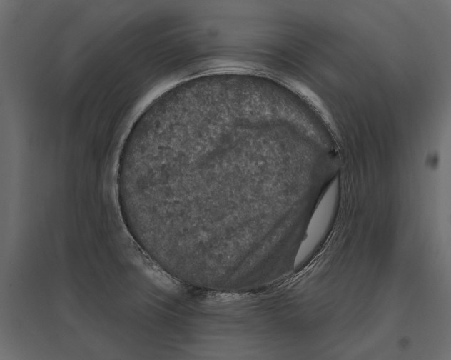 X0000096991427200803071043