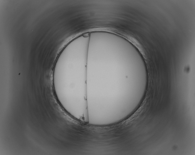 X0000096991428200803071043