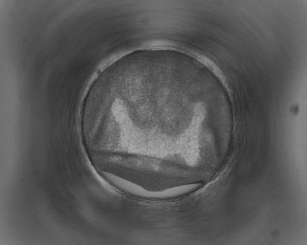 X0000096991429200803071043