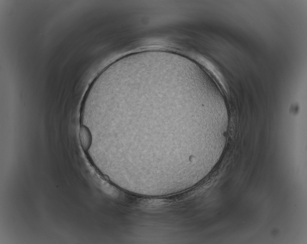 X0000096991431200803071043