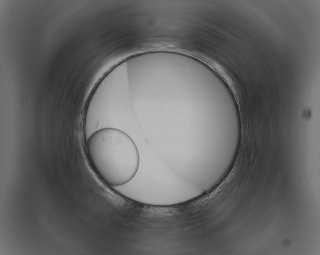 X0000096991432200803071043