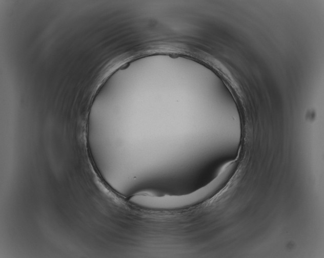 X0000096991433200803071043