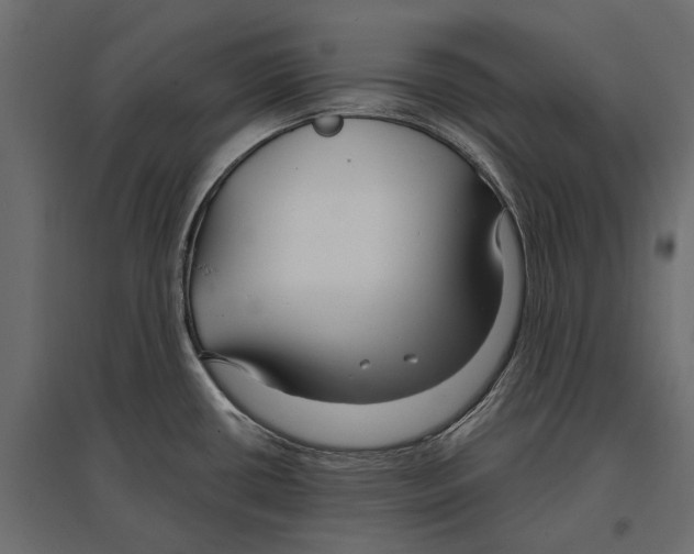 X0000096991434200803071043