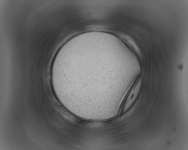 X0000096991435200803071043