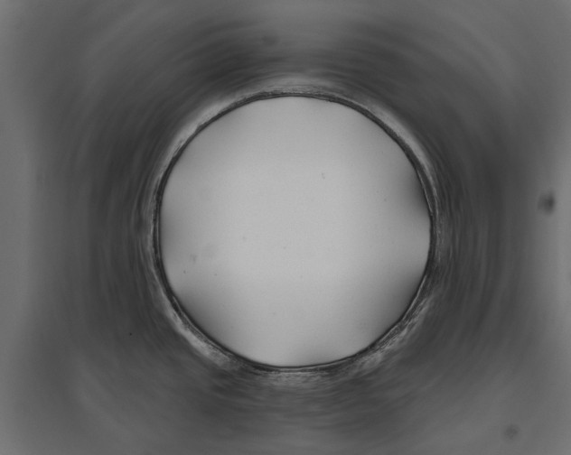 X0000096991437200803071043